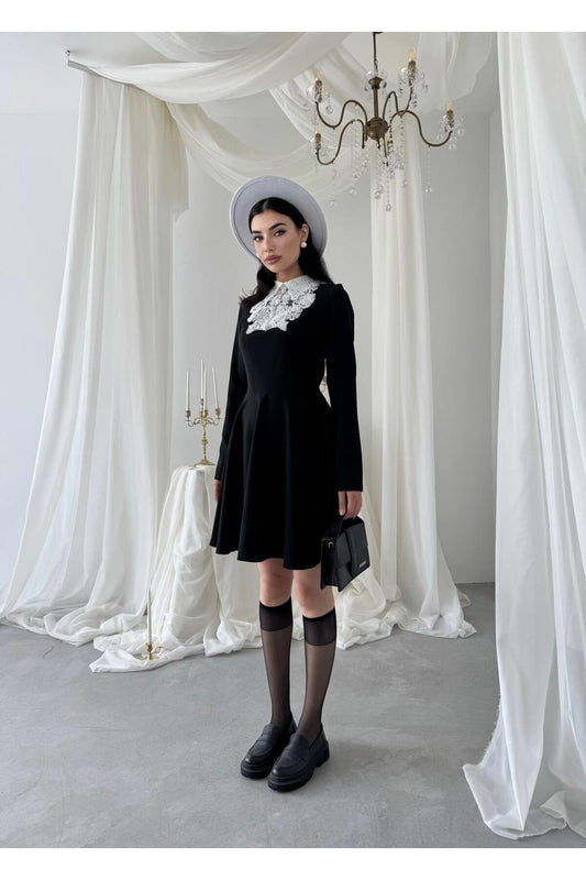 Guipure Collar Mini Dress