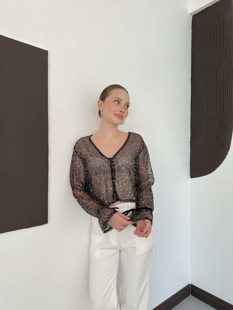 Sequin Mesh Button Blouse