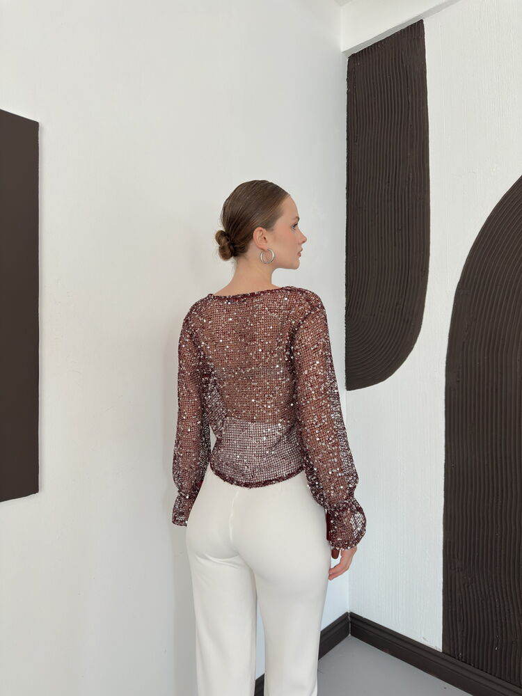 Sequin Mesh Button Blouse