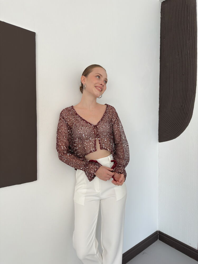 Sequin Mesh Button Blouse