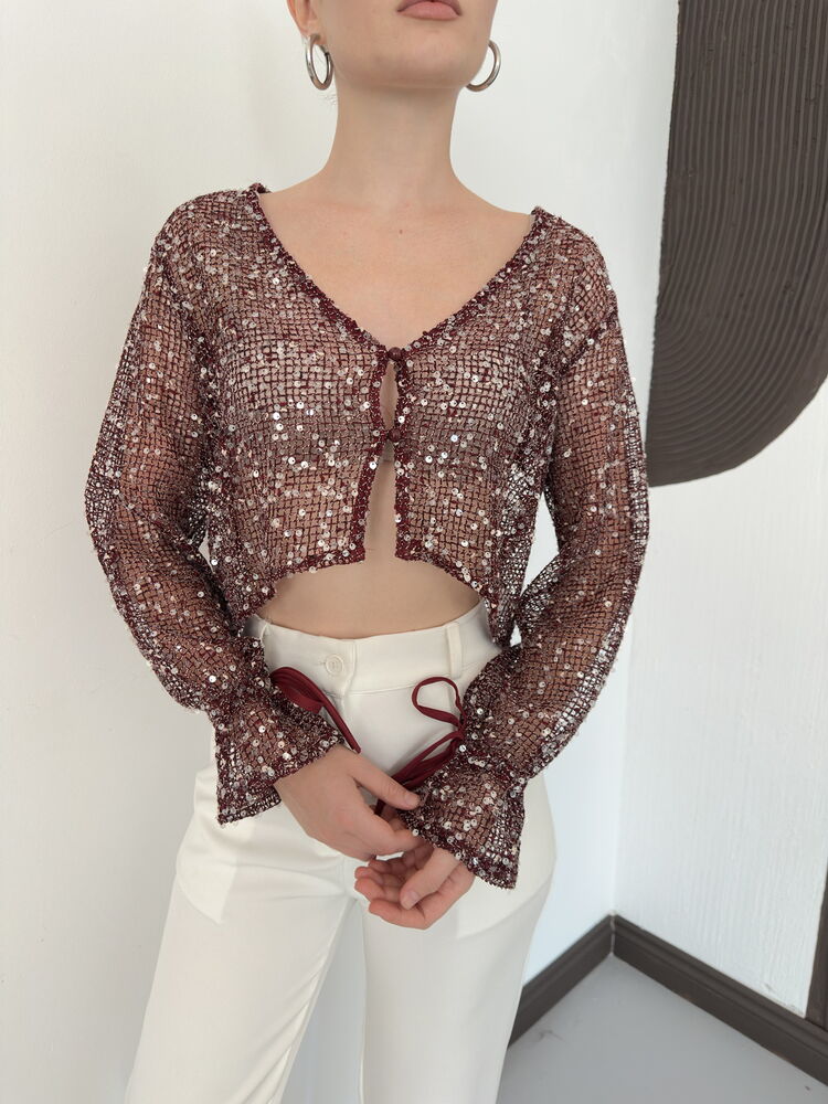 Sequin Mesh Button Blouse