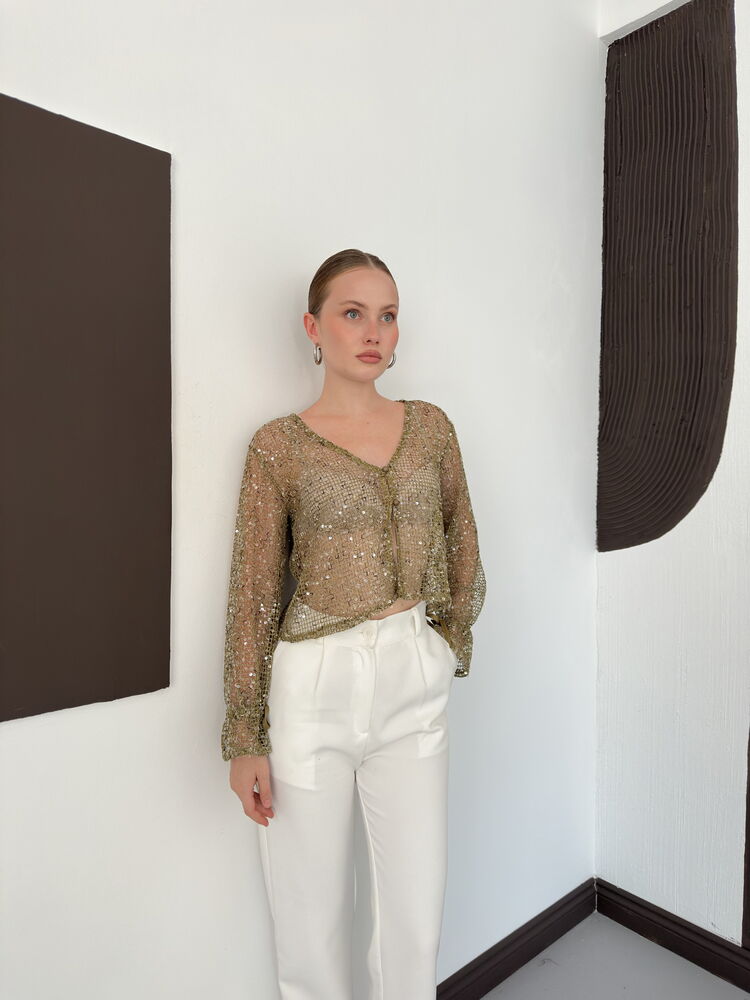 Sequin Mesh Button Blouse