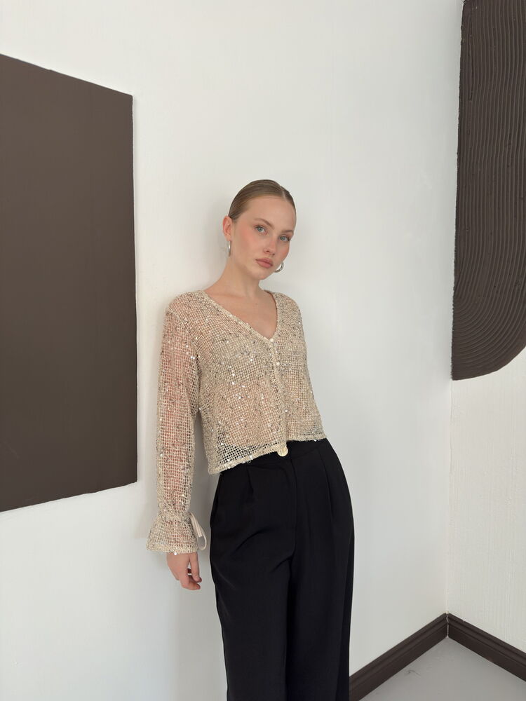 Sequin Mesh Button Blouse