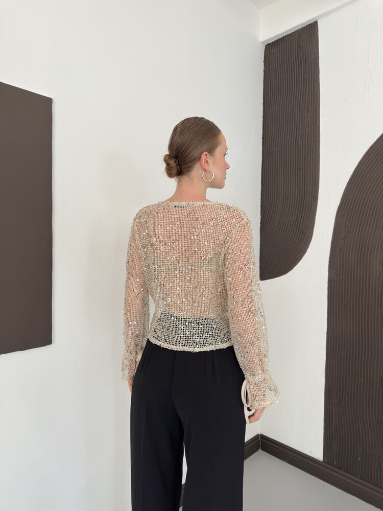 Sequin Mesh Button Blouse