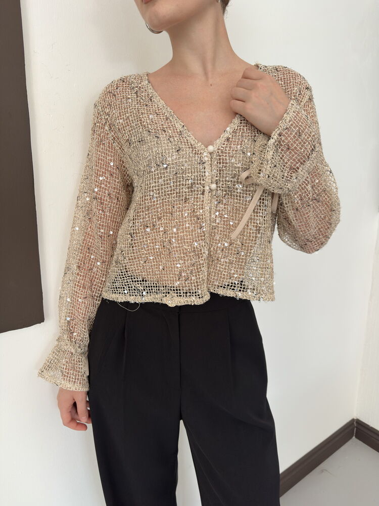 Sequin Mesh Button Blouse