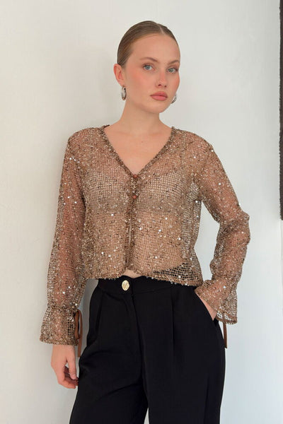 Sequin Mesh Button Blouse