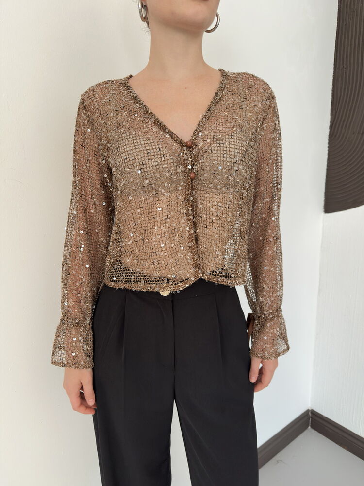Sequin Mesh Button Blouse