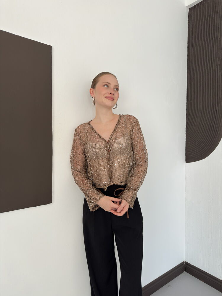 Sequin Mesh Button Blouse