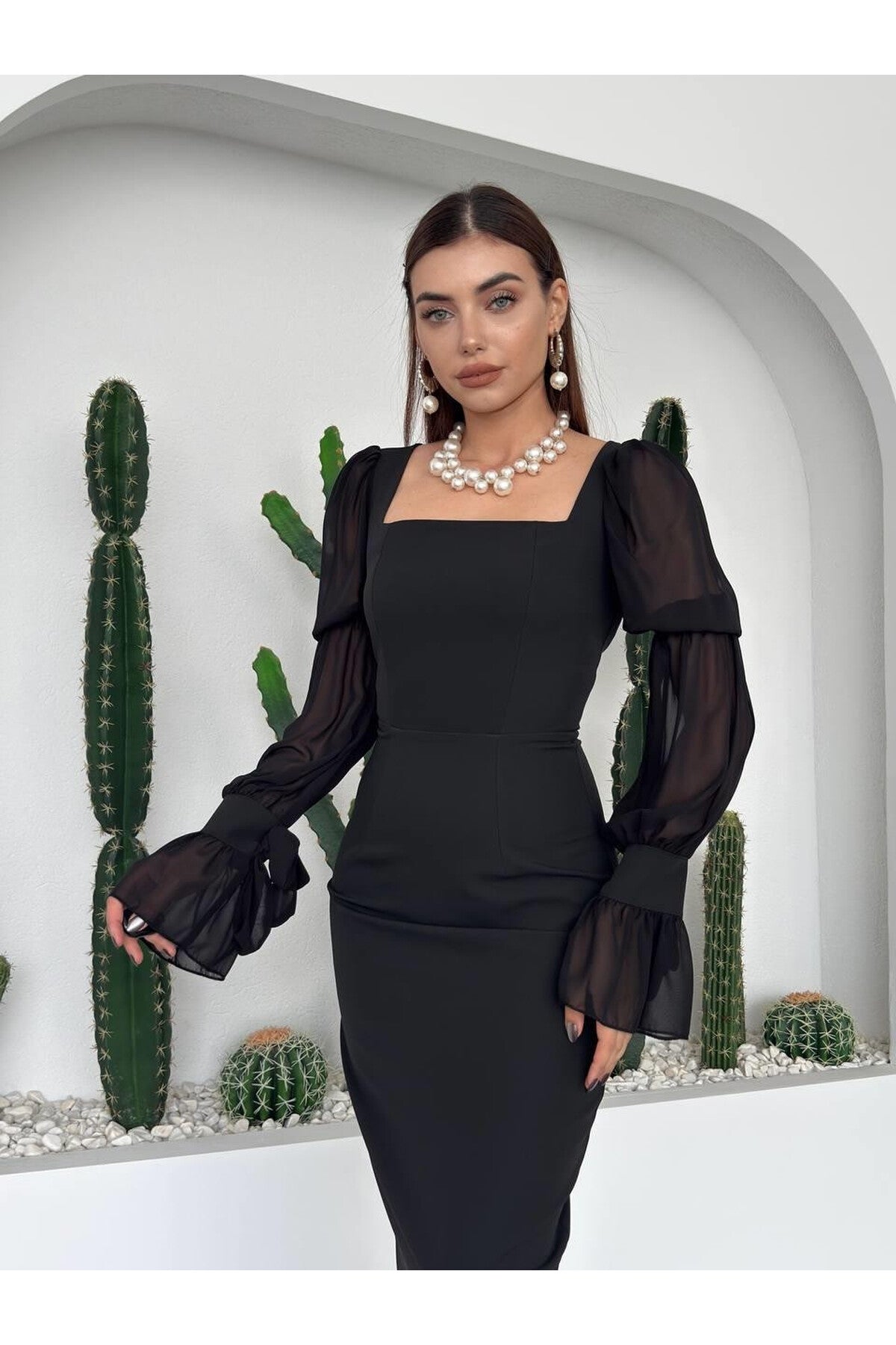 Chiffon Sleeve Dress