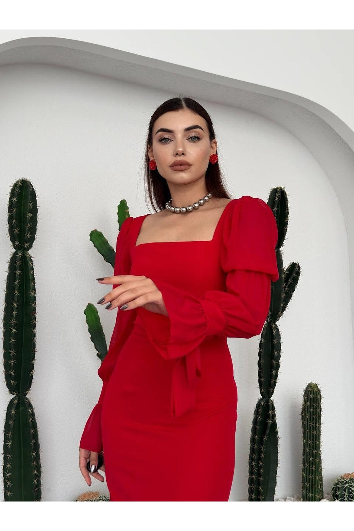 Chiffon Sleeve Dress