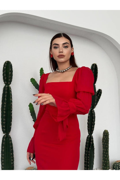 Chiffon Sleeve Dress