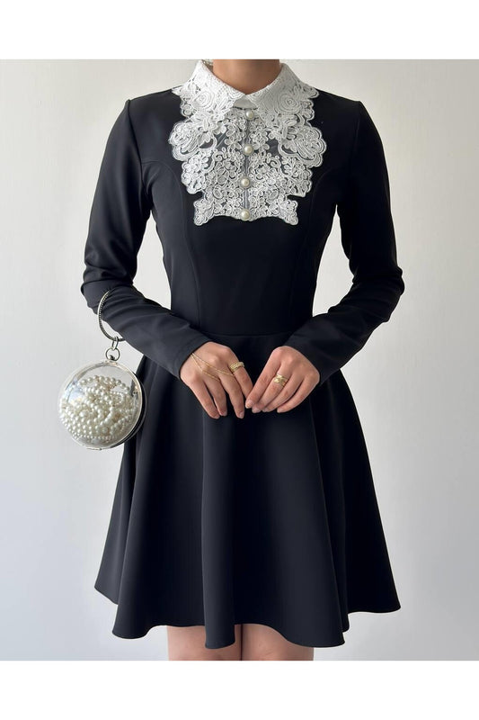 Guipure Collar Mini Dress